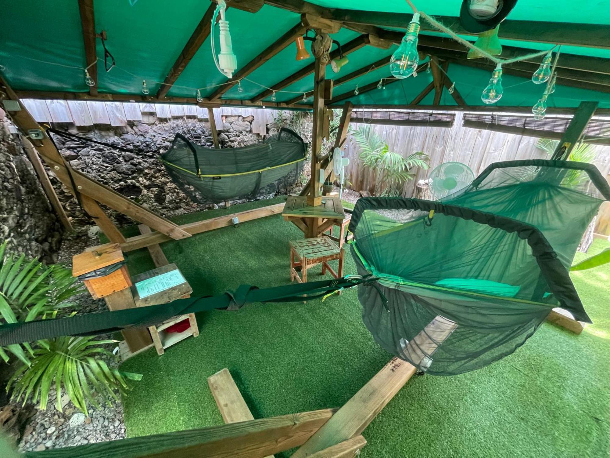 Hotel Les Hamacs Aux Saintes Terre-De-Haut Zewnętrze zdjęcie